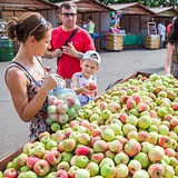 Фото: Фермерская ярмарка «Медово-Яблочный Спас» открылась в центре Одинцово