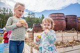 Фото: Свыше 5 тысяч человек стали гостями Второго Фестиваля стола