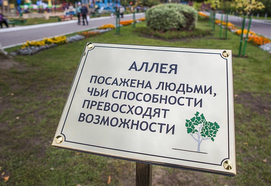 Аллею «Город без барьеров» высадили в Одинцово на акции «Наш лес. Посади своё дерево»