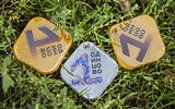 Фото: День без автомобиля