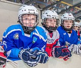 Фото: Новый логотип и форму Одинцовской школы хоккея представили в Ледовом