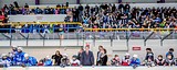 Фото: Новый логотип и форму Одинцовской школы хоккея представили в Ледовом