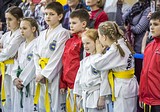Фото: V Открытый турнир по тхэквондо на призы школы «Президент» прошел в Жуковке