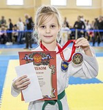 Фото: V Открытый турнир по тхэквондо на призы школы «Президент» прошел в Жуковке