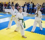 Фото: V Открытый турнир по тхэквондо на призы школы «Президент» прошел в Жуковке