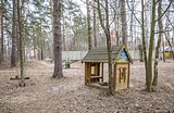 Фото: ФАП деревни Жуковка может переехать в здание местного Дома культуры
