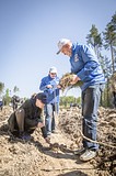 Фото: «Аллея Победы» появилась в Одинцово