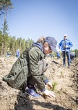 Фото: «Аллея Победы» появилась в Одинцово