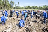 Фото: «Аллея Победы» появилась в Одинцово
