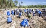 Фото: «Аллея Победы» появилась в Одинцово