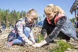 Фото: «Аллея Победы» появилась в Одинцово