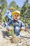 Фото: «Аллея Победы» появилась в Одинцово