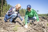 Фото: «Аллея Победы» появилась в Одинцово
