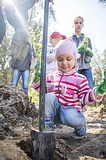 Фото: «Аллея Победы» появилась в Одинцово