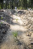 Фото: «Аллея Победы» появилась в Одинцово