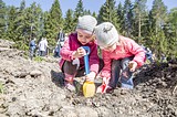 Фото: «Аллея Победы» появилась в Одинцово