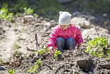 Фото: «Аллея Победы» появилась в Одинцово