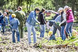 Фото: «Аллея Победы» появилась в Одинцово