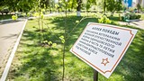 Фото: «Аллея Победы» появилась в Одинцово