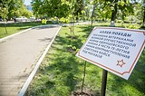Фото: «Аллея Победы» появилась в Одинцово