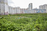 Фото: Храм в Новой Трёхгорке по просьбе жителей не будет построен на месте парковки