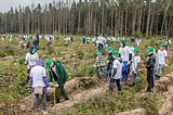 Фото: Свыше 60 тысяч деревьев посадили в Одинцовском районе участники акции «Наш лес. Посади свое дерево»