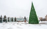 Новогоднюю ель высотой 18 метров установили в центре Одинцово