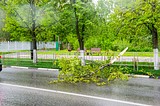 Последствия урагана в Одинцовском районе должны устранить до конца вторника