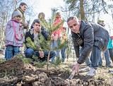 Более 9 тысяч жителей Одинцовского района приняли участие в акции «Лес Победы»