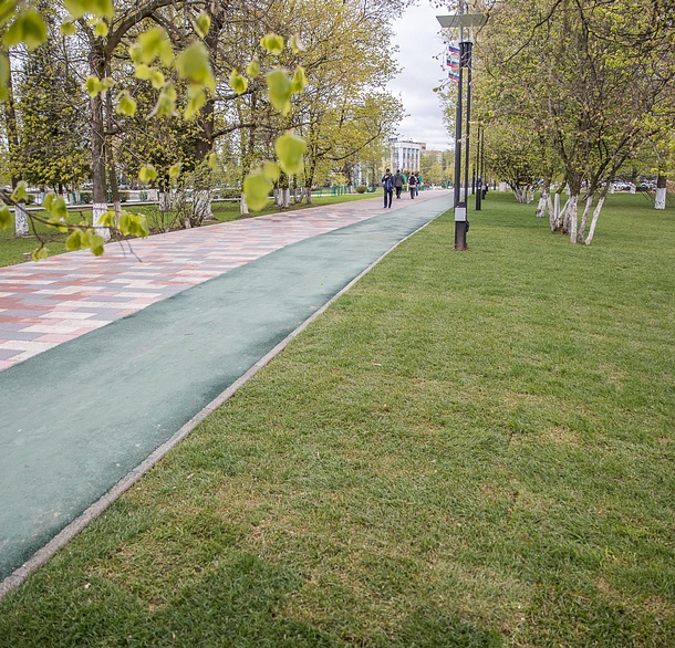 Более 3000 квадратных метров газона будет уложено в парке на улице Маршала Неделина