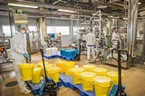 Завод финской компании Valio в Ершовском поселении увеличил мощность в 1,5 раза