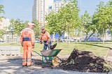 Приведение в порядок территории возле филиала поликлиники №2