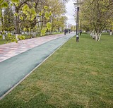Пешеходная дорога на главной площади