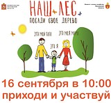 В Одинцовском районе основной площадкой акции «Наш лес. Посади свое дерево» станет участок Хлюпинского лесничества