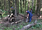 Участники субботника «Зеленая Россия» очистили от мусора 14 гектаров Подушкинского леса