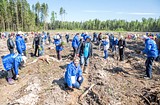 К участию в акции «Наш лес. Посади свое дерево» присоединятся единороссы Одинцовского района