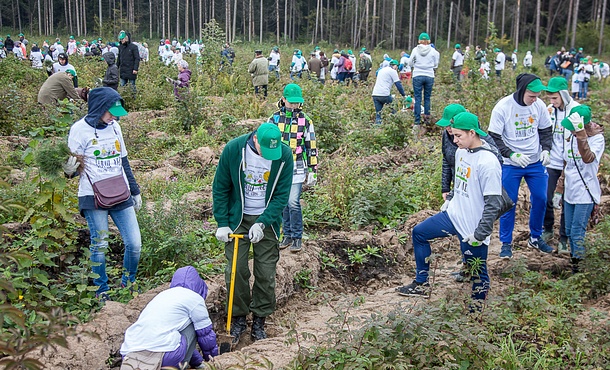 Более 19 000 воспитанников образовательных учреждений Одинцовского района примут участие в акции «Наш лес. Посади свое дерево», Сентябрь