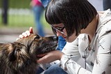 В Одинцовском районе 7 октября состоится первый региональный фестиваль помощи бездомным животным