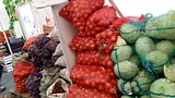 Одинцовские сторонники «Единой России» купили продукты для ветеранов