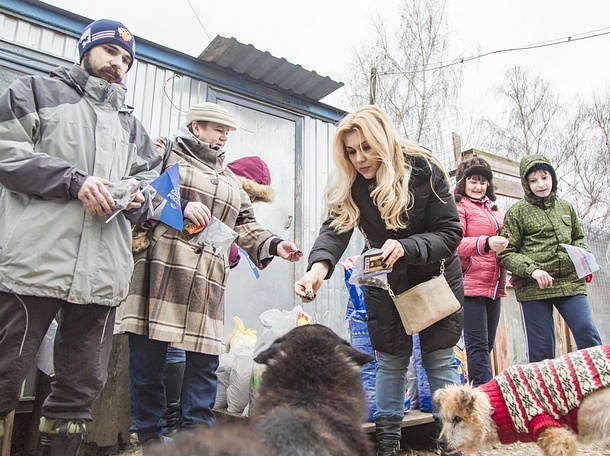 Одинцовские молодогвардейцы и сторонники партии помогли местному приюту для животных, Декабрь