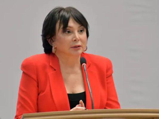 Марина Юденич возглавила совет по правам человека при губернаторе Подмосковья, Декабрь