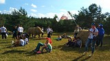 Образовательный форум «Я-гражданин Подмосковья 2018» для молодежи Московской области начал свою работу
