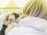 В Одинцовском районе 27 января пройдет благотворительная выставка животных из приютов