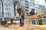 Вместе с жителями Заречья на субботник вышел депутат Мособлдумы Дмитрий Голубков
