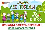 Одинцовский район назван лидером Подмосковья по числу мест высадки деревьев в рамках акции «Лес Победы»