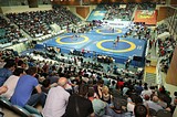 Церемония открытия чемпионата России по вольной борьбе прошла в Одинцово