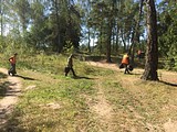Более 4 кубометров мусора собрали и вывезли после лесного субботника в Никольском