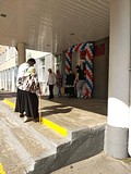 На избирательных участках Одинцовского района волонтеры помогают пожилым людям и маломобильным гражданам