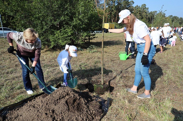 Более 25 тысяч жителей Одинцовского района приняли участие в областной акции «Наш лес. Посади свое дерево», Сентябрь