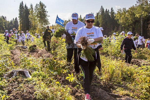 Общественная палата Московской области присоединилась к акции «Наш лес. Посади свое дерево» в Одинцовском районе, Сентябрь